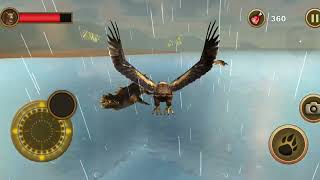 Scene For Jaclyn Bachik, Joe Judd, And Richard Smart Tommy Ching Crocodiles Videos