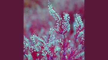 Retro Backdrops for Recap Days