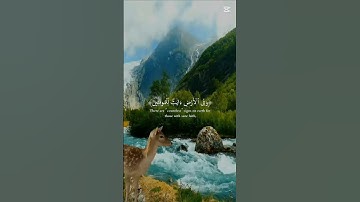 #القرآن_الكريم #المصحف #القارئ #الشيخ #السعودية #المغرب #الجزائر #العراق