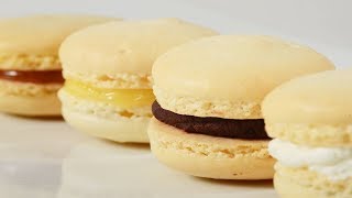 French Macarons Recipe Demonstration - Joyofbaking.com