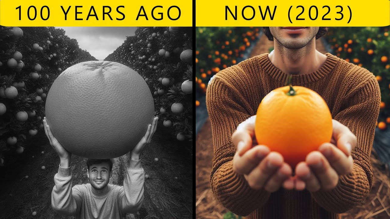 Transformation Of Fruits & Vegetables and Their Incredible Histories