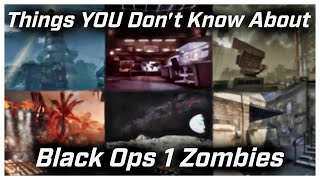 Things YOU Don't Know About Call Of Duty: Black Ops Zombies