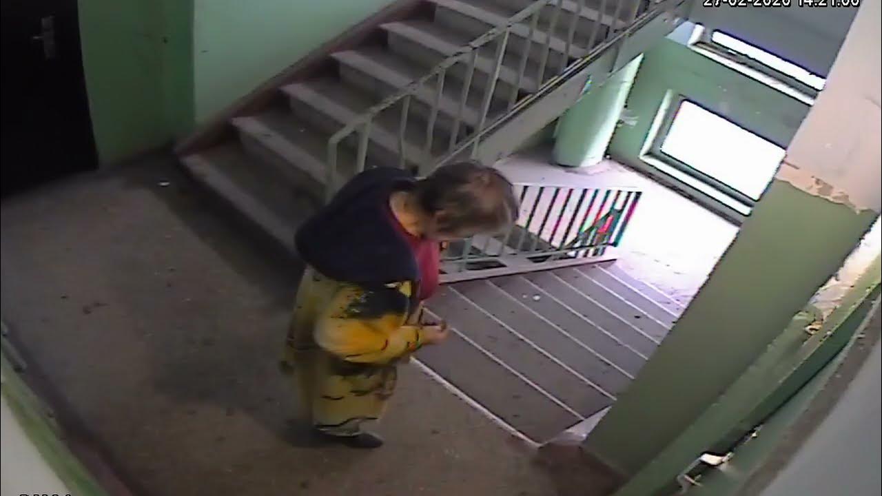 Мисс слива ловит белочку - YouTube