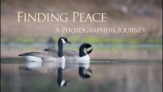 Finding Peace