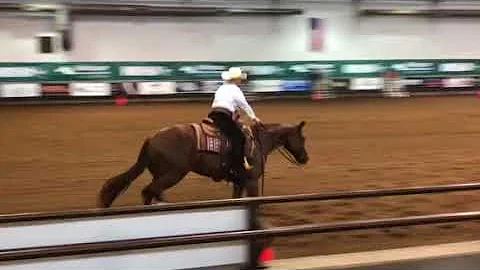 Kristi Clark OKC Reining 2018