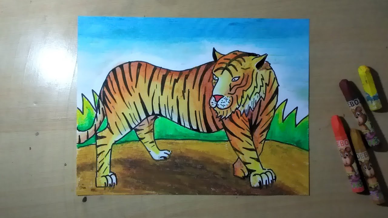 Cara menggambar  hewan  berkaki 4 Harimau  YouTube