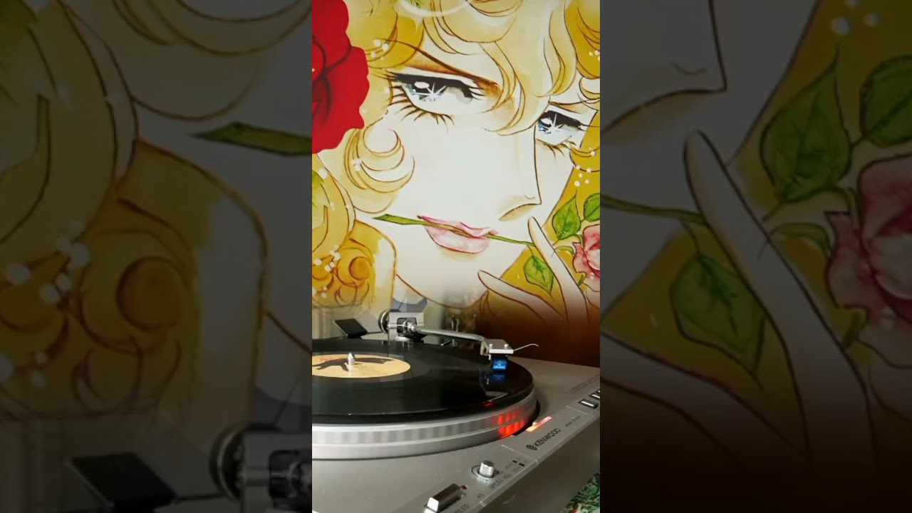 The rose of Versailles