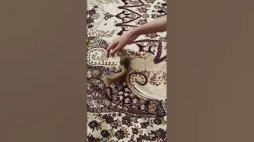 دیدی چجوری پرید بالا Aicover Birds Sabscrab Funny ترند Cockatiel کلیپ 