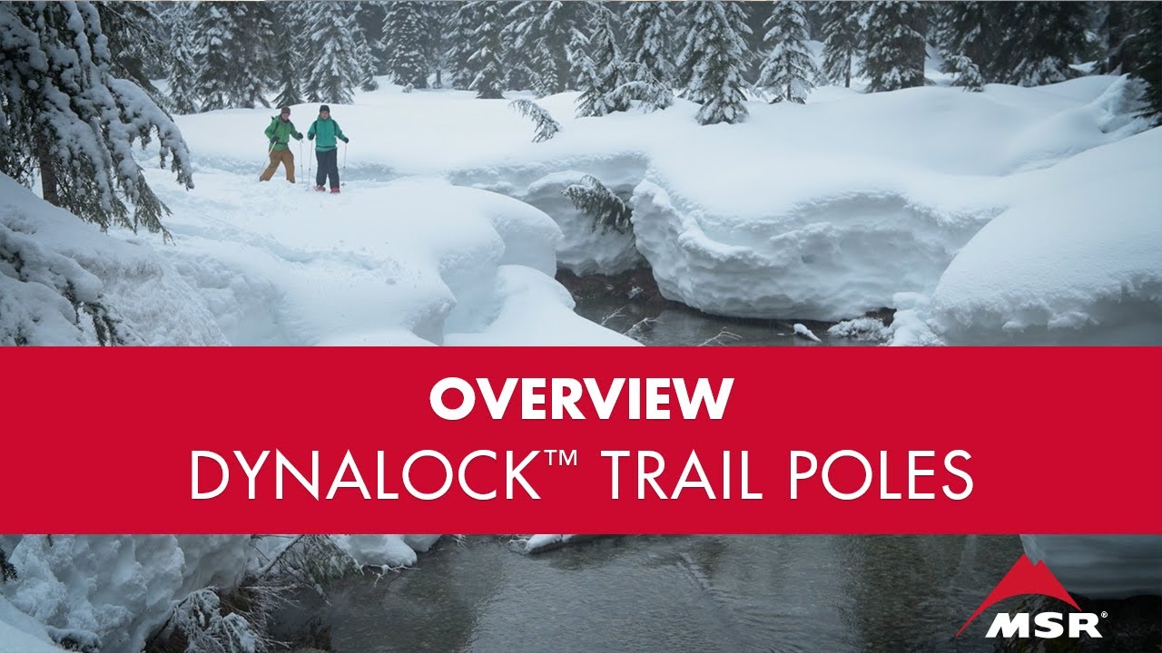DynaLock™ Trail Series Backcountry Trekking Poles | MSR®