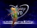Disney DVD Logo With FBI Warning Screens Fullscreen Edition (2007 Present)