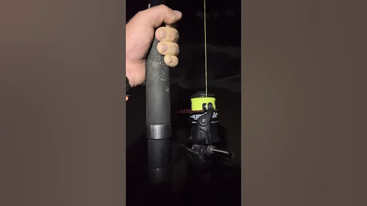 Big Shovel-nose Shark!