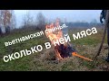 Вьетнамские свиньи, мое первое впечатление о выходе мяса!