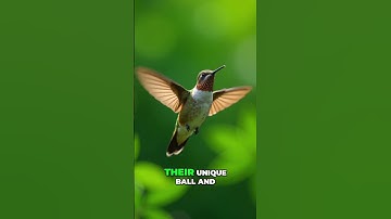 The Hummingbird is the Only Bird That Can Fly Backwards 😱 #shorts