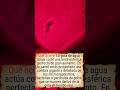 El microscopio láser casero