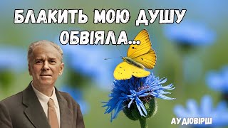 "Блакить мою душу обвіяла..." слухати аудіовірш. Павло Тичина