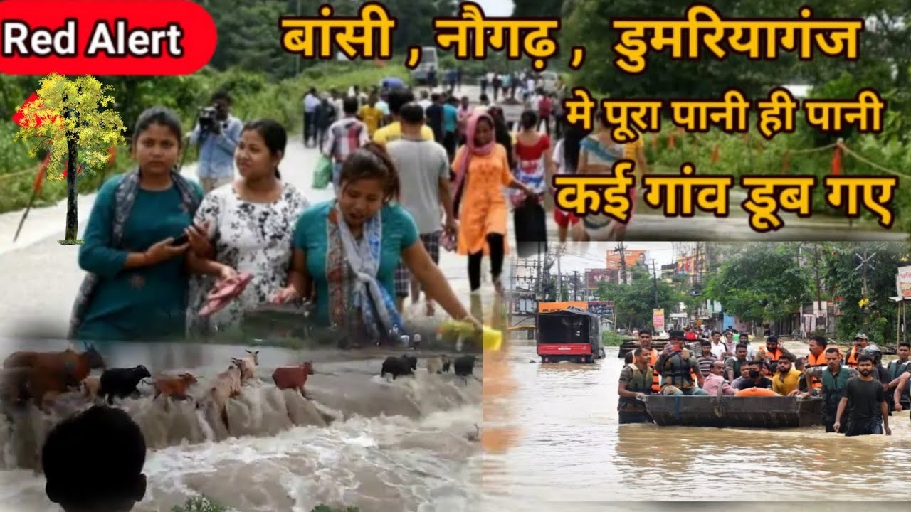 Baghini Rapti Nadi | Bansi Nadi |domariyaganj Siddharth Nagar | Bansi Siddharth Nagar Rapti😭😭