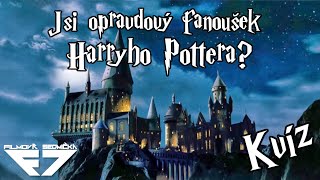 Jsi opravdový fanoušek Harryho Pottera? | Kvíz