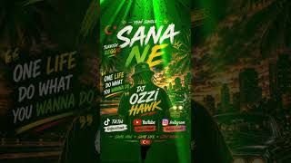 Sana Ne - Dj Ozzi Hawk