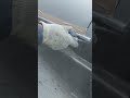 песочит внутрянку порогов
