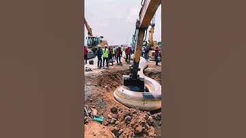 Massive snake ambushes cat in backyard 🐍🐱 #wildlife #snakevs #animalencounter #shorts #viralvideo