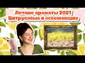 10 АРОМАТОВ НА ЛЕТО ДЛЯ ЖЕНЩИН И МУЖЧИН/ЦИТРУСОВЫЕ И СВЕЖИЕ АРОМАТЫ