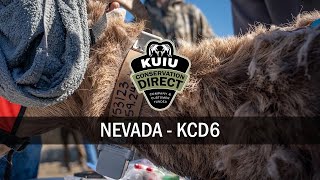 KUIU Conservation Direct: Nevada - KCD6