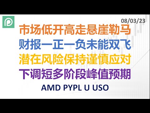 美股分析 AMD PYPL U USO 市场低开高走悬崖勒马 财报一正一负未能双飞 潜在风险保持谨慎应对 下调短多阶段峰值预期