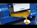 Praga : Cold Press Power 💯 Mustard Oil Extraction | 10Hp Cold Press Oil Expeller Machine #coldoil