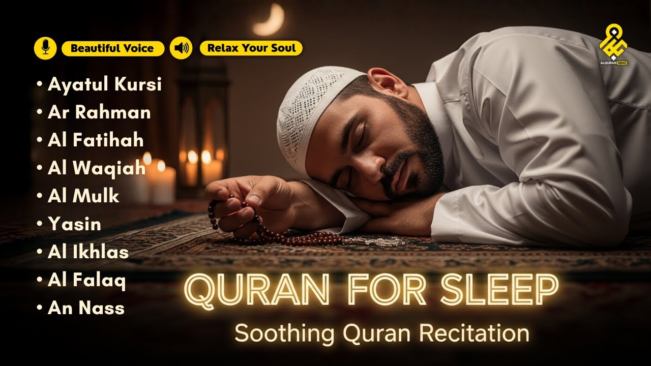Beautiful Quran For Deep Sleep ✦ Ayatul Kursi, Yasin, Rahman, Waqiah, AlMulk By Alaa Aqel