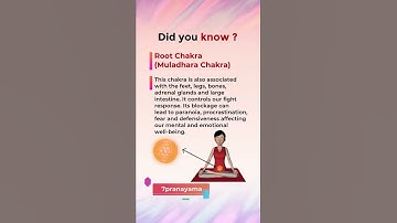 Root Chakra Muladhara Chakra  you need to know #yoga