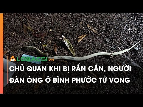 Video Chủ quan khi bị rắn cắn, người đàn ông ở Bình Phước... - youtube