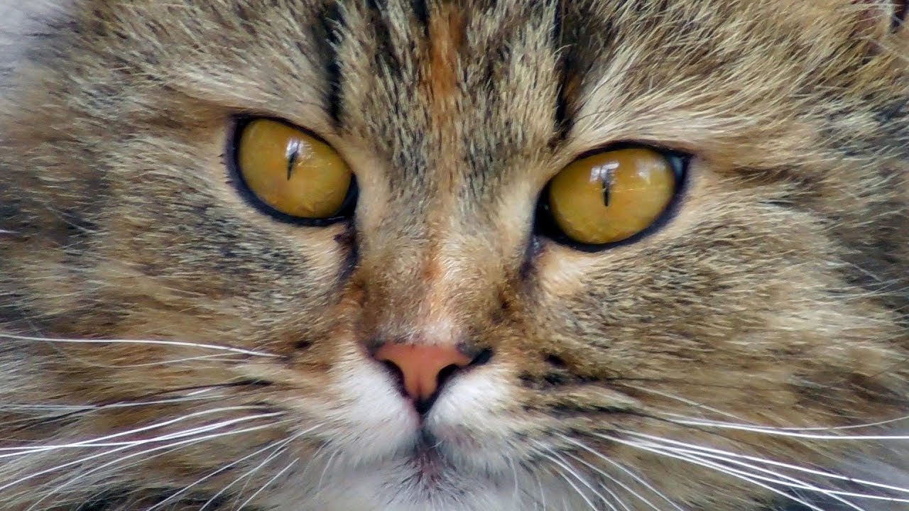 Добро пожаловать! 1opto комментарии накопились, необходимо ответить