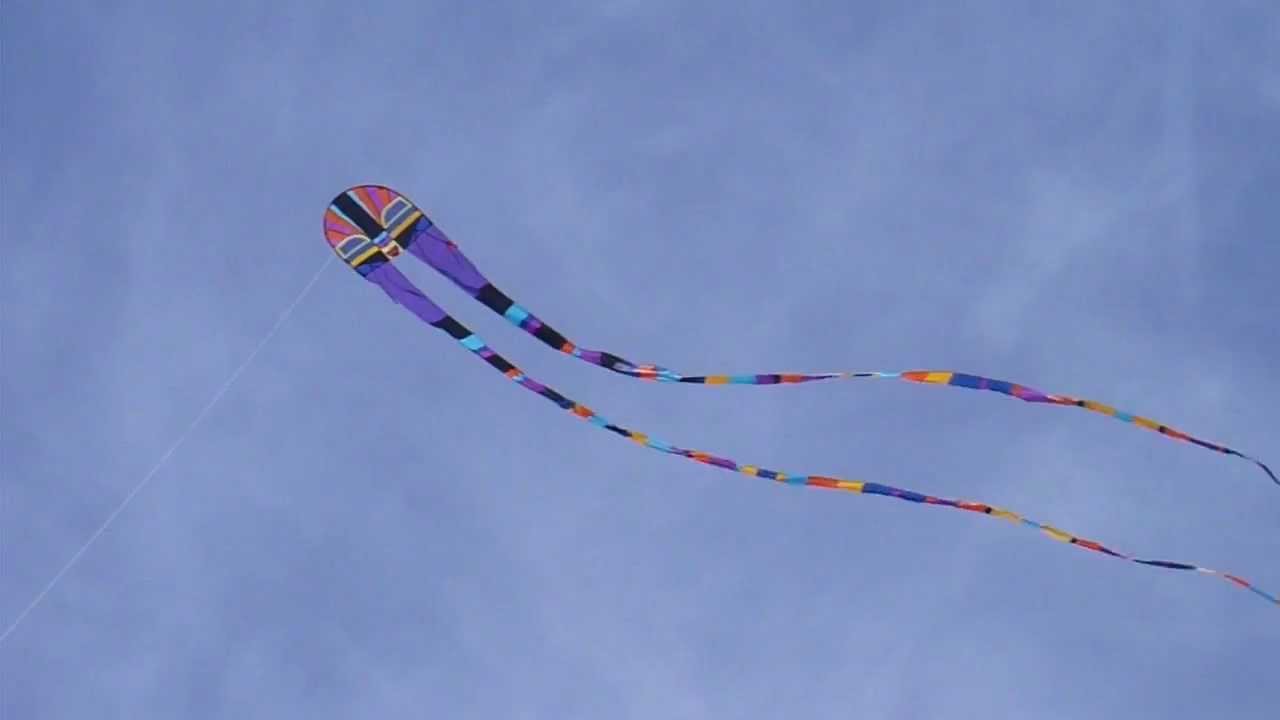 Twin-tail dragon kite