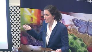 'Moral outrage in the digital age' with Prof Molly Crockett