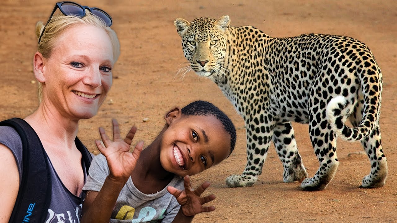 Volunteer at the Harnas Wildlife Sanctuary | The Great Projects