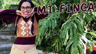 Regresé a mi finca │Candy Bu