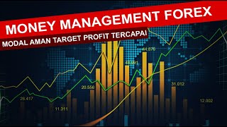 Money Management Forex II Forex Money Management screenshot 3