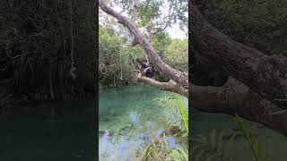 live free #foryou #jamaica #shorts #travel #travelvlog #island