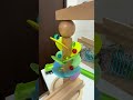 Marble Run 286 マーブルラン Colorful Marbles #ビー玉転がし #marblerace #マーブルラン #marblerun #asmr #haba #小さな大工さん