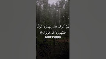 ماهر المعيقلي - سورة البقرة ( برواية حفص عن عاصم ) الأية 262 - 263