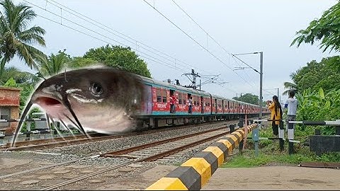 Catfish Emu Local Train || High Speed EMU Train Furious Moving Out Railgate