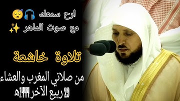 تلاوة فضيلة الشيخ د.#ماهر_المعيقلي من صلاتي المغرب والعشاء 29 ربيع الآخر ١٤٤٤ه‍
