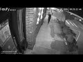 Lion statue stolen from Piqued Curiosities Antiques