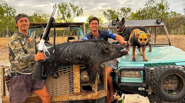 CRAZY WILD BOAR CHASE WITH HOMEMADE BUGGYS (Part 2)