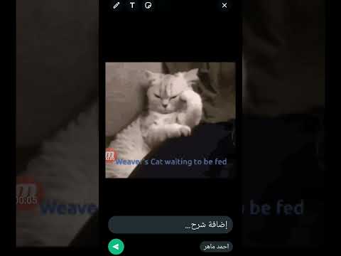 واحنا بنفكر هناكل ايه بكره حكايات وفاء