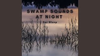 Swdan Ambience At Dusk
