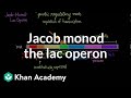 Jacobmonod the lac operon  biomolecules  mcat  khan academy