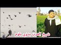 كلام كلام لفنان محمود سليم شيخ العرب بدوي بلوم 
