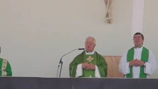 20160626 - XIV Peregrinação Diocesana a Fátima II