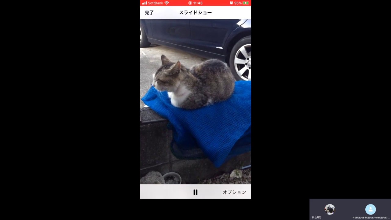 河田 医師とのセッション番外編 先生が個人用にスカイプ録音していたものですが 今聴き直しました もし必要なら上げて頂いてもokです とご了承を頂きました 亡き愛猫ゴローちゃんの動画 水素水実験 Youtube
